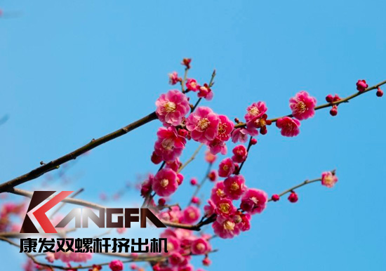 春光明媚,春意盎然!康發(fā)JSH系列雙螺桿造粒機(jī)組集中發(fā)貨